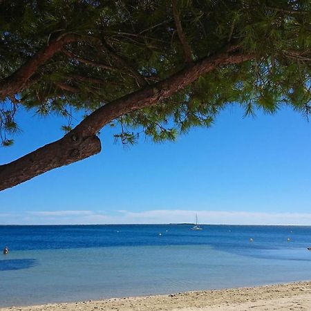 Appartamento Le Cosy Clermont-lʼHérault Esterno foto